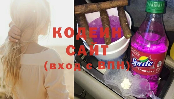 дживик Бронницы