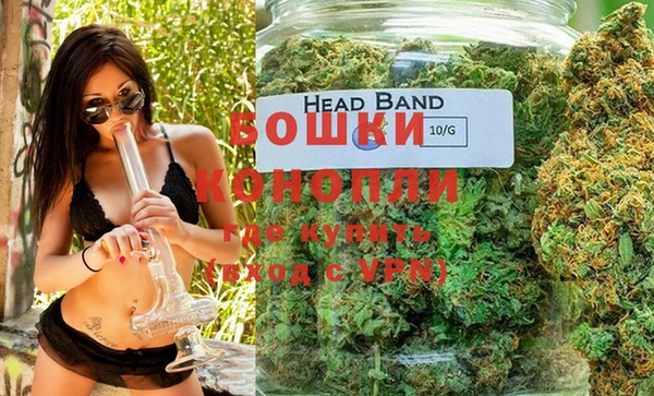 дживик Бронницы