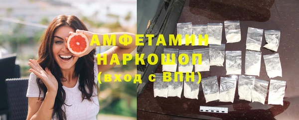 дживик Бронницы